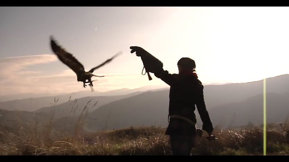 Il Falconiere